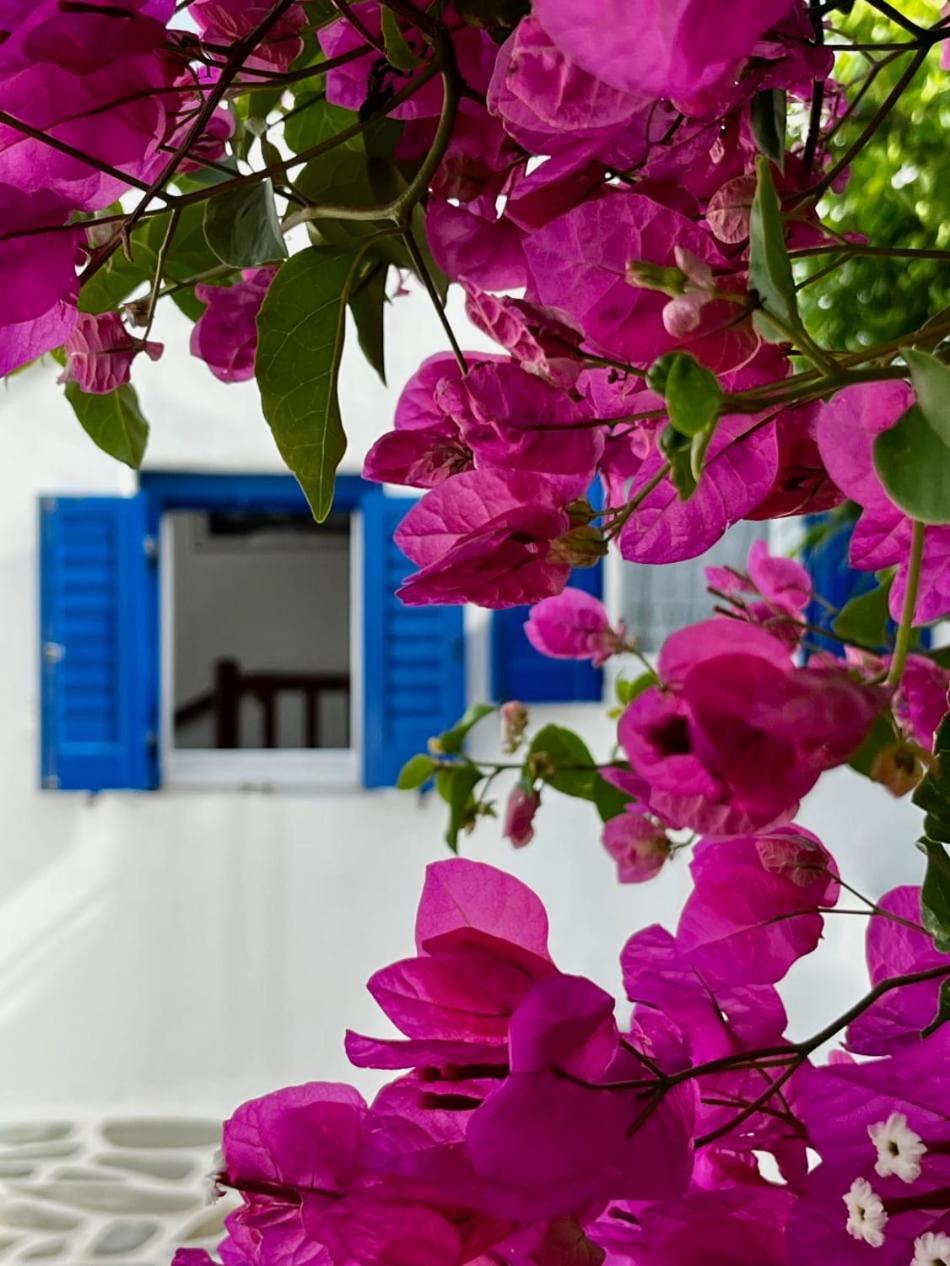Villa Panormos Beach Escape Dreamy Coastal Retreat