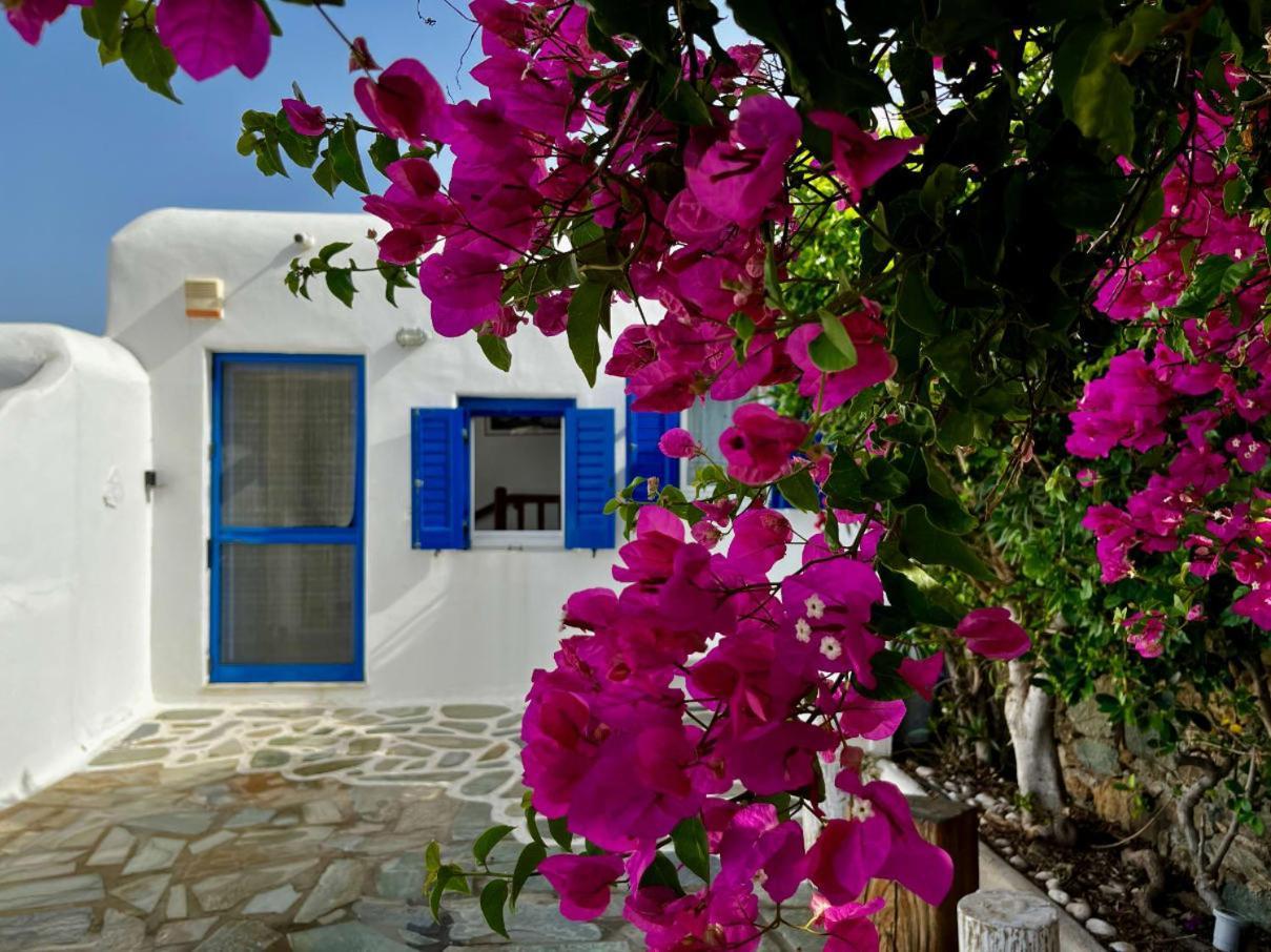 Panormos Beach Escape Dreamy Coastal Retreat Pousada Panormos (Mykonos)
